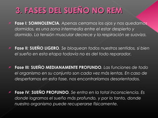 3. FASES DEL SUEÑO NO REM3. FASES DEL SUEÑO NO REM
 Fase I: SOMNOLENCIA. Apenas cerramos los ojos y nos quedamos
dormidos, es una zona intermedia entre el estar despierto y
dormido. La tensión muscular decrece y la respiración se suaviza.
 Fase II: SUEÑO LIGERO. Se bloquean todos nuestros sentidos, si bien
el sueño en esta etapa todavía no es del todo reparador.
 Fase III: SUEÑO MEDIANAMENTE PROFUNDO. Las funciones de todo
el organismo en su conjunto son cada vez más lentas. En caso de
despertarnos en esta fase, nos encontraríamos desorientados.
 Fase IV: SUEÑO PROFUNDO. Se entra en la total inconsciencia. Es
donde logramos el sueño más profundo, y por lo tanto, donde
nuestro organismo puede recuperarse físicamente.
 