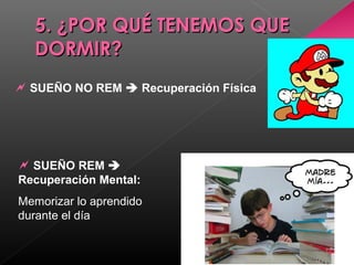 5. ¿POR QUÉ TENEMOS QUE5. ¿POR QUÉ TENEMOS QUE
DORMIR?DORMIR?
 SUEÑO NO REM  Recuperación Física
 
 SUEÑO REM 
Recuperación Mental:
Memorizar lo aprendido 
durante el día
 