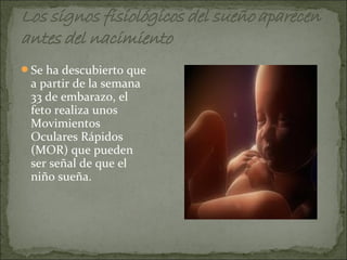 Se ha descubierto que
 a partir de la semana
 33 de embarazo, el
 feto realiza unos
 Movimientos
 Oculares Rápidos
 (MOR) que pueden
 ser señal de que el
 niño sueña.
 
