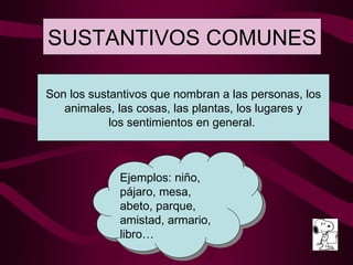 SUSTANTIVOS COMUNES Son los sustantivos que nombran a las personas, los animales, las cosas, las plantas, los lugares y los sentimientos en general.  Ejemplos: niño, pájaro, mesa, abeto, parque, amistad, armario, libro… 
