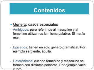 Los sustantivos | PPTX