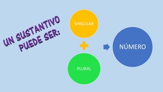 SINGULAR
PLURAL
NÚMERO
 