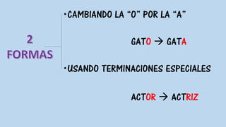 CAMBIANDO LA “O” POR LA “A”
GATO  GATA
USANDO TERMINACIONES ESPECIALES
ACTOR  ACTRIZ
 