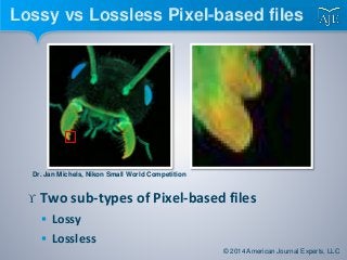 Lossy vs Lossless Pixel-based files
Dr. Jan Michels, Nikon Small World Competition
 Two sub-types of Pixel-based files
 Lossy
 Lossless
© 2014 American Journal Experts, LLC
 