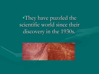 They have puzzled the scientific world since their discovery in the 1930s.   