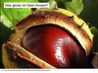 Was genau ist Open Access?
Foto: eagle1effi: https://flic.kr/p/atJkcX, https://creativecommons.org/licenses/by-nc-nd/2.0/
 