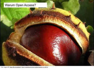 Warum Open Access?
Foto: eagle1effi: https://flic.kr/p/atJkcX, https://creativecommons.org/licenses/by-nc-nd/2.0/
 