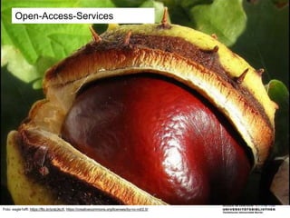 Open-Access-Services
Foto: eagle1effi: https://flic.kr/p/atJkcX, https://creativecommons.org/licenses/by-nc-nd/2.0/
 