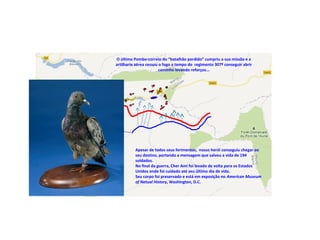 O último Pombo-correio do “batalhão perdido” cumpriu a sua missão e a
artilharia aérea cessou o fogo a tempo do regimento 307º conseguir abrir
caminho levando reforços...
Apesar de todos seus ferimentos, nosso herói conseguiu chegar ao
seu destino, portando a mensagem que salvou a vida de 194
soldados.
No final da guerra, Cher Ami foi levado de volta para os Estados
Unidos onde foi cuidado até seu último dia de vida.
Seu corpo foi preservado e está em exposição no American Museum
of Natual History, Washington, D.C.
 