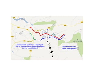 Estudos recentes apontam que o segredo pode
estar na orientação usando o campo geomagnético
da Terra e a posição do Sol.
Você sabe o que é o
campo geomagnético?
 