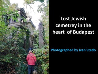 Lost Jewish cemetrey in the heart  of Budapest Photographed by Ivan Szedo 