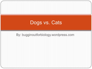 Dogs vs. Cats

By: bugginoutforbiology.wordpress.com
 