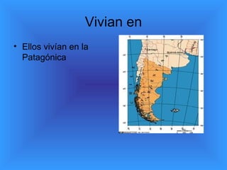 Vivian en
• Ellos vivían en la
Patagónica