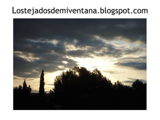 Lostejadosdemiventana.blogspot.com
 