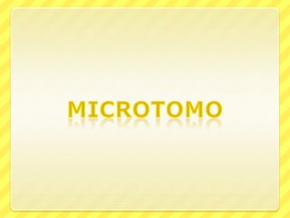 microtomo 