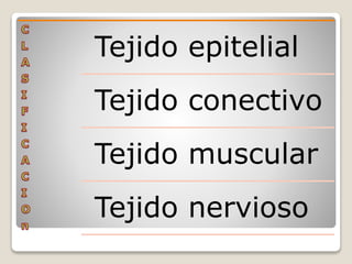 Tejido epitelial
Tejido conectivo
Tejido muscular
Tejido nervioso
 