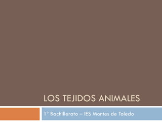 LOS TEJIDOS ANIMALES 1º Bachillerato – IES Montes de Toledo 