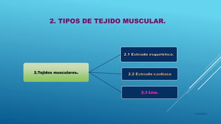 2. TIPOS DE TEJIDO MUSCULAR.
2.Tejidos musculares.
16/04/2015
 
