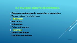 2.5 TEJIDOS ADULTO-SECRETORES.
 Elaboran sustancias de secreción o excreción.
 Tipos: externos e Internos.
1. Externos:
 Nectarios.
 Hidatodos.
 Pelos urticantes.
2. internos:
 Tubos laticíferos.
 Canales resiníferos.
16/04/2015
 