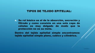 TIPOS DE TEJIDO EPITELIAL:
A. Su rol básico es el de la absorción, secreción y
filtrado y como consiste en una sola capa de
células es muy delgado de modo que la
protección no es su meta.
Dentro del tejido epitelial simple encontramos:
tejido epitelial simple plano, cubico y cilíndrico.
16/04/2015
 