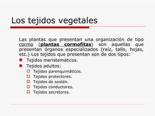 Los tejidos vegetales Las plantas que presentan una organización de tipo  cormo  ( plantas cormofitas ) son aquellas que presentan órganos especializados (raíz, tallo, hojas, etc.) Los tejidos que presentan son de dos tipos: Tejidos meristemáticos.  Tejidos adultos: Tejidos parenquimáticos. Tejidos protectores. Tejidos de sostén. Tejidos conductores. Tejidos secretores. 