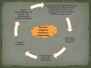 Se entienden todos aquellos elementos
                                   externos de que cualquier manera
        Estado                        pueden determinar un cierto
electromagnético del                comportamiento del individuo y
    aire, etc. Que                     establece su manera de ser.
   condicionan la
metereosensibilidad.



                         Factores
                        exógenos
                        externos y
                       ambientales
                                                       Entre estos
                                                      elementos se
  Presión                                              enumeran:
atmosférica




                         El clima bajo el
                            aspecto de
                          temperatura
 