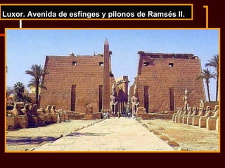 Luxor. Avenida de esfinges y pilonos de Ramsés II. 