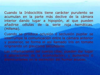 Cuando la Iridociclitis tiene carácter purulento se
acumulan en la parte más declive de la cámara
interior dando lugar a hipopión, al que pueden
añadirse células de la serie roja hemáticas.
(Hifema).
Cuando se produce oclusión ó seclusión pupilar se
interrumpe la comunicación entre la cámara anterior
y posterior, se forma el así llamado Iris en tomate
originando un glaucoma secundario.
Las inflamaciones del cuerpo ciliar, pueden dar lugar
a alteraciones de la acomodación, y aumentos ó
disminuciones en la secreción del humor acuoso.
 