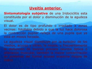 Uveitis anterior.
Sintomatología subjetiva de una Iridociclitis esta
constituida por el dolor y disminución de la agudeza
visual.
El dolor es de tipo profundo o irradiado a zonas
vecinas: fotofobia debido a que la luz hace dolorosa
la contracción pupilar refleja de una pupila que ya
está en miosis forzada.
La agudeza visual disminuye por la turbidez de los
medios, acuoso y vítreo, la miosis, y frecuentemente
la disfunción de toxinas provoca neuritis óptica ó
alteración muscular, también la mayor concentración
en proteínas del humor acuoso ocasiona miopía de
índice
 