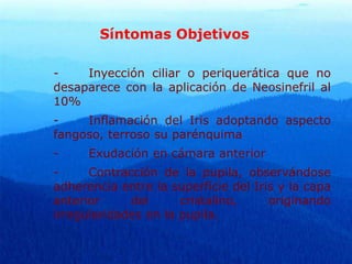 Síntomas Objetivos
- Inyección ciliar o periquerática que no
desaparece con la aplicación de Neosinefril al
10%
- Inflamación del Iris adoptando aspecto
fangoso, terroso su parénquima
- Exudación en cámara anterior
- Contracción de la pupila, observándose
adherencia entre la superficie del Iris y la capa
anterior del cristalino, originando
irregularidades en la pupila.
 
