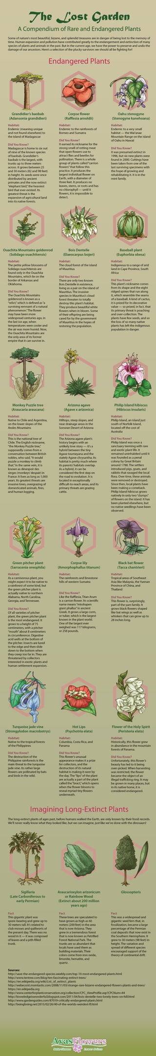 The Lost Garden: A Compendium of Rare and Endangered Plants