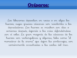 Ovíparos:


  Los tiburones depositan en rocas o en algas los
 huevos, cuyas gruesas cáscaras son resistentes a los
   depredadores. Los huevos se incuban por días o
 semanas después, dejando a las crías defendiéndose
por sí solas. La gran mayoría de las cáscaras de los
 huevos son rectangulares y algunas, tales como “el
monedero de la sirena” que dejan las pintarrojas, son
   comúnmente arrastradas a las costas del mar.
 