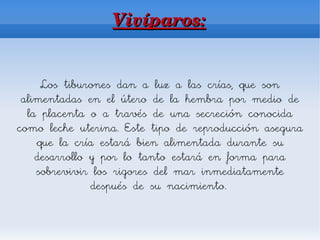 Vivíparos:


     Los tiburones dan a luz a las crías, que son
 alimentadas en el útero de la hembra por medio de
  la placenta o a través de una secreción conocida
como leche uterina. Este tipo de reproducción asegura
    que la cría estará bien alimentada durante su
    desarrollo y por lo tanto estará en forma para
    sobrevivir los rigores del mar inmediatamente
               después de su nacimiento.
 