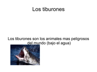 Los tiburones




Los tiburones son los animales mas peligrosos
           del mundo (bajo el agua)
 