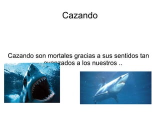Cazando



Cazando son mortales gracias a sus sentidos tan
          avanzados a los nuestros ..
 