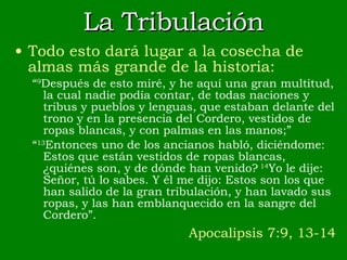 La Tribulación Todo esto dará lugar a la cosecha de almas más grande de la historia: “ 9 Después de esto miré, y he aquí una gran multitud, la cual nadie podía contar, de todas naciones y tribus y pueblos y lenguas, que estaban delante del trono y en la presencia del Cordero, vestidos de ropas blancas, y con palmas en las manos;” “ 13 Entonces uno de los ancianos habló, diciéndome: Estos que están vestidos de ropas blancas, ¿quiénes son, y de dónde han venido?  14 Yo le dije: Señor, tú lo sabes. Y él me dijo: Estos son los que han salido de la gran tribulación, y han lavado sus ropas, y las han emblanquecido en la sangre del Cordero”. Apocalipsis 7:9, 13-14 