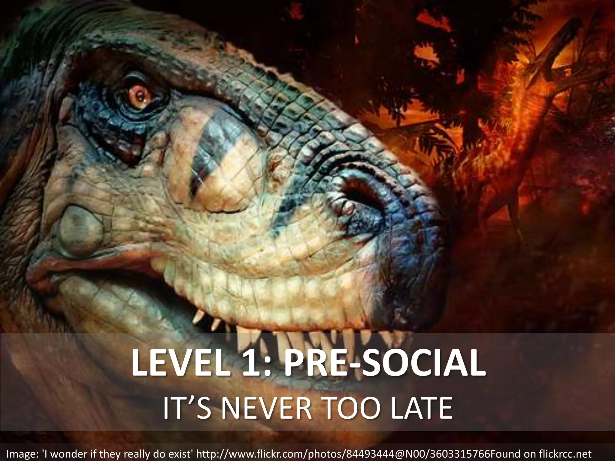 LEVEL 1: PRE-SOCIAL
IT’S NEVER TOO LATE
Image: 'I wonder if they really do exist' http://www.flickr.com/photos/84493444@N00/3603315766Found on flickrcc.net
 