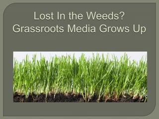 Lost In the Weeds? Grassroots Media Grows Up 