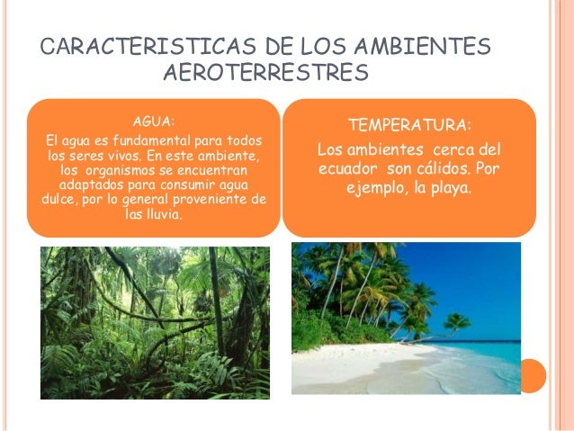 Los tipos de ambientes oral de c.n. Lozano...