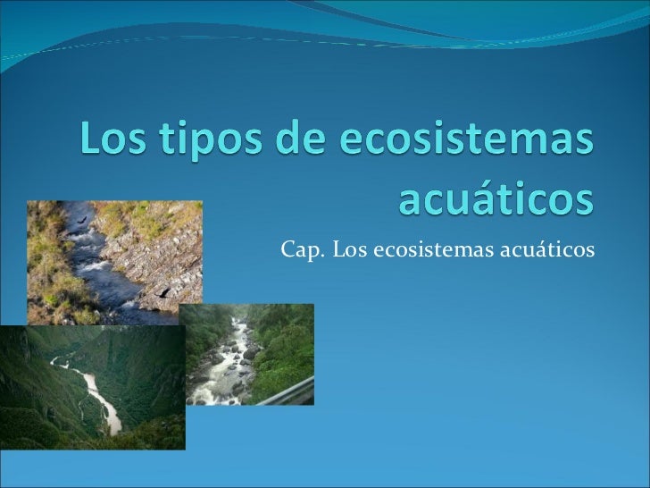 Los Tipos De Ecosistemas Acuaticos