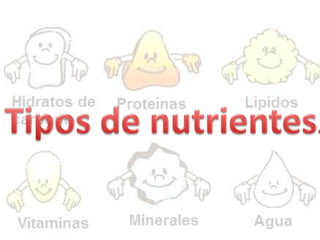 Tipos de nutrientes.
 