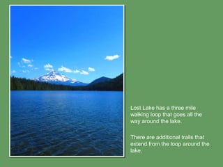 Lost Lake has a three mile
walking loop that goes all the
way around the lake.

There are additional trails that
extend from the loop around the
lake.
 