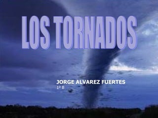 LOS TORNADOS JORGE ALVAREZ FUERTES 1º B 