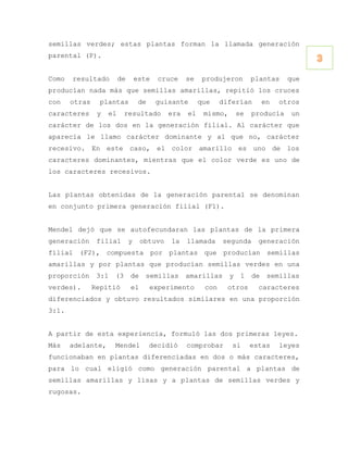 semillas verdes; estas plantas forman la llamada generación
parental (P).
                                                                                            3
Como   resultado         de       este    cruce   se    produjeron        plantas     que
producían nada más que semillas amarillas, repitió los cruces
con    otras     plantas           de    guisante      que    diferían         en   otros
caracteres      y   el     resultado        era   el    mismo,       se   producía     un
carácter de los dos en la generación filial. Al carácter que
aparecía le llamo carácter dominante y al que no, carácter
recesivo. En este caso, el color amarillo es uno de los
caracteres dominantes, mientras que el color verde es uno de
los caracteres recesivos.


Las plantas obtenidas de la generación parental se denominan
en conjunto primera generación filial (F1).


Mendel dejó que se autofecundaran las plantas de la primera
generación      filial        y    obtuvo    la   llamada     segunda       generación
filial (F2), compuesta por plantas que producían semillas
amarillas y por plantas que producían semillas verdes en una
proporción      3:1   (3      de     semillas     amarillas      y    1   de    semillas
verdes).       Repitió        el        experimento     con     otros       caracteres
diferenciados y obtuvo resultados similares en una proporción
3:1.


A partir de esta experiencia, formuló las dos primeras leyes.
Más    adelante,      Mendel            decidió   comprobar      si       estas     leyes
funcionaban en plantas diferenciadas en dos o más caracteres,
para lo cual eligió como generación parental a plantas de
semillas amarillas y lisas y a plantas de semillas verdes y
rugosas.
 