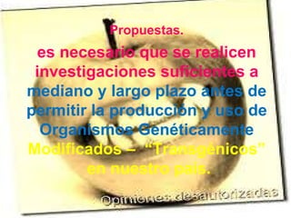 Propuestas. es necesario que se realicen investigaciones suficientes a  mediano y largo plazo antes de permitir la producción y uso de Organismos Genéticamente  Modificados –  “Transgénicos” en nuestro país. 