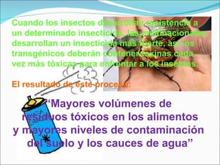 Cuando los insectos desarrollan resistencia a un determinado insecticida, las multinacionales desarrollan un insecticida más fuerte, así los transgénicos deberán contener toxinas cada vez más tóxicas para enfrentar a los insectos. El resultado de este proceso: “ Mayores volúmenes de  residuos tóxicos en los alimentos y mayores niveles de contaminación  del suelo y los cauces de agua” 