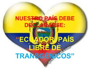 NUESTRO PAÍS DEBE DECLARARSE: “ ECUADOR, PAÍS LIBRE DE  TRANSGÉNICOS” 