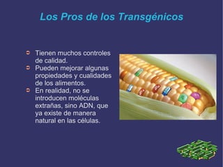 Los Pros de los Transgénicos

➲
➲

➲

Tienen muchos controles
de calidad.
Pueden mejorar algunas
propiedades y cualidades
de los alimentos.
En realidad, no se
introducen moléculas
extrañas, sino ADN, que
ya existe de manera
natural en las células.

 