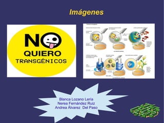 Imágenes

Blanca Lozano Lería
Nerea Fernández Ruiz
Andrea Álvarez Del Paso

 