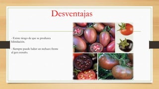 Desventajas
- Existe riesgo de que se produzca
hibridación.

- Siempre puede haber un rechazo frente
al gen extraño.

 
